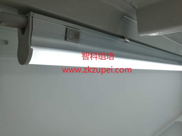 (jng)(j)LEDMß.jpg