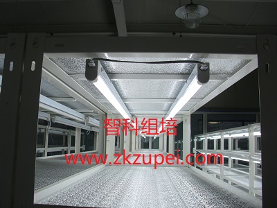 ZK-GϵB(yng).jpg