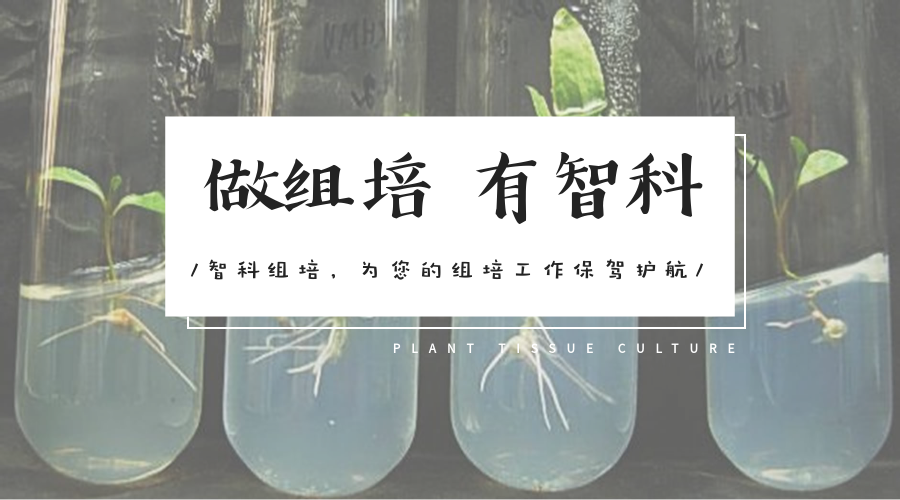 嶨OӋ-20180725-182341.png